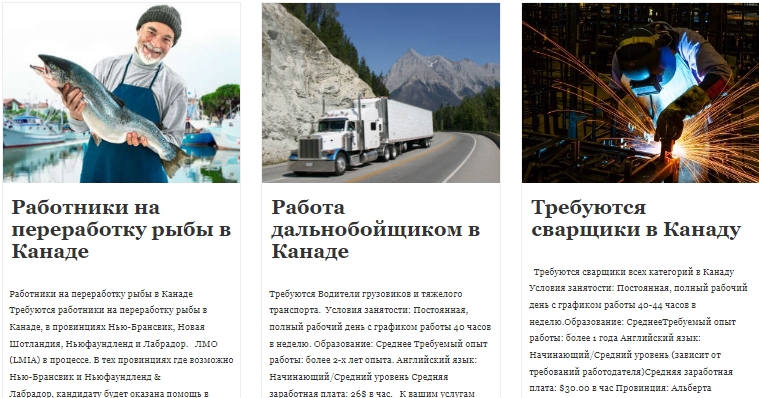 Польша, Германия, Канада? Где украинцам проще всего устроиться на работу с высокой зарплатой